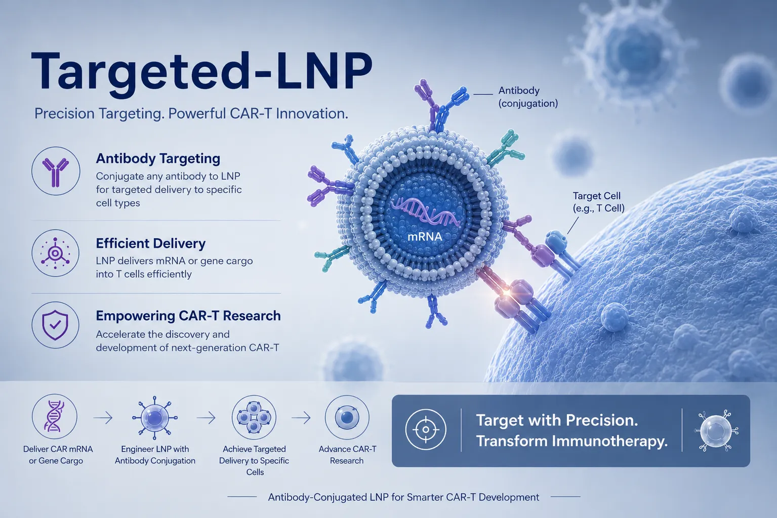Targeted-LNP schematic showing antibody-decorated lipid nanoparticles binding a receptor on an immune cell and delivering nucleic-acid cargo into it.
