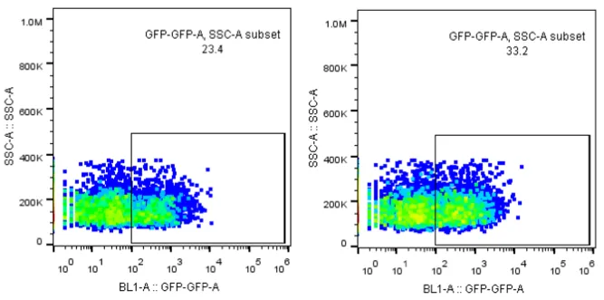 Flow cytometry scatter plots for AccuLNP-delivered GFP circular ssDNA at 100 and 250 ng, with GFP-positive populations of 23.4% and 33.2% — a large shifted population above the gate.