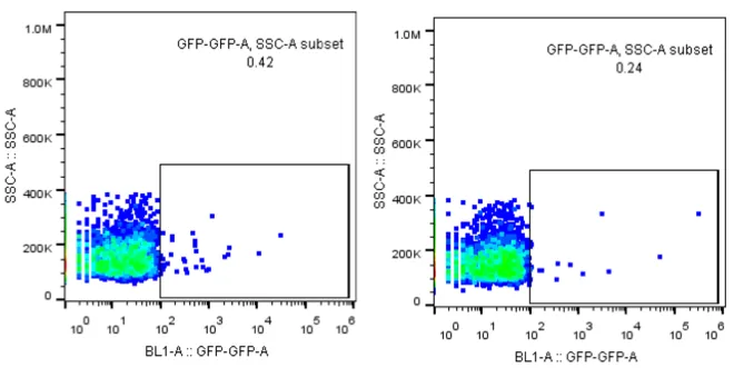 Flow cytometry scatter plots for Lipofectamine-delivered GFP circular ssDNA at 100 and 250 ng, with GFP-positive populations of 0.42% and 0.24% — almost no cells above the gate.