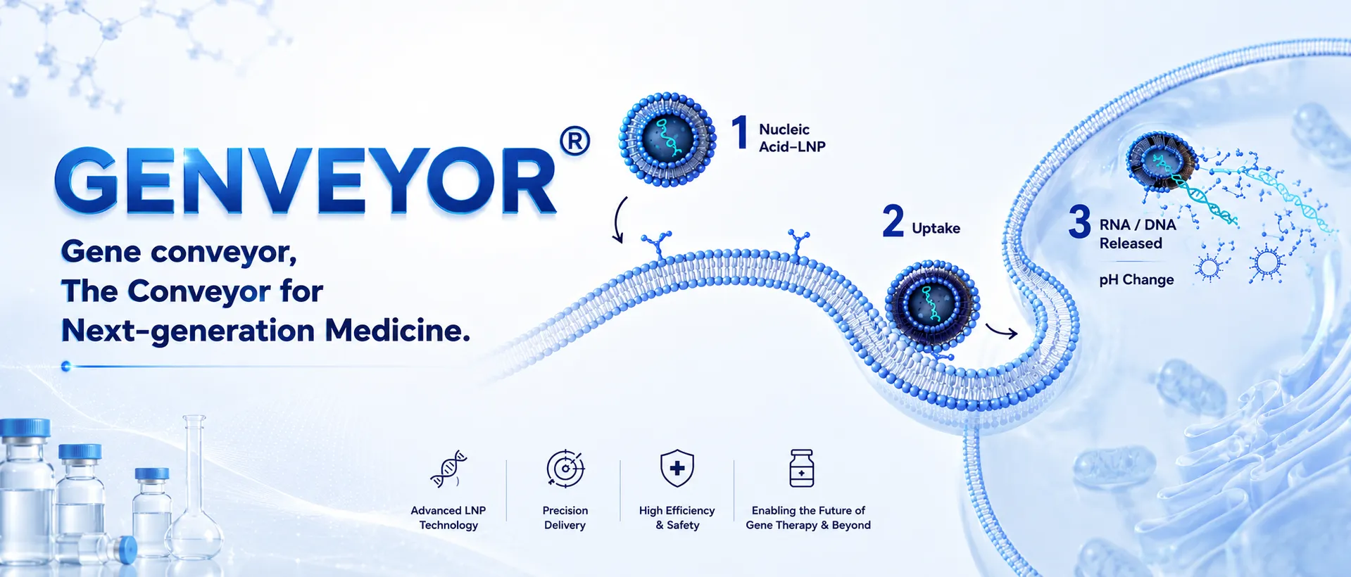 GENVEYOR® — gene conveyor, the conveyor for next-generation medicine. Schematic of the AccuLNP™ delivery route across a cell membrane: 1, a nucleic acid–LNP; 2, uptake into the cell; 3, RNA or DNA released on pH change. Marked: advanced LNP technology, precision delivery, high efficiency and safety, enabling the future of gene therapy and beyond.
